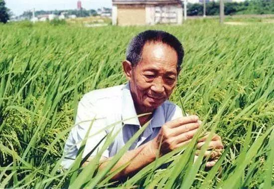 一日三餐，米香彌漫，飽食者當(dāng)憶袁公！