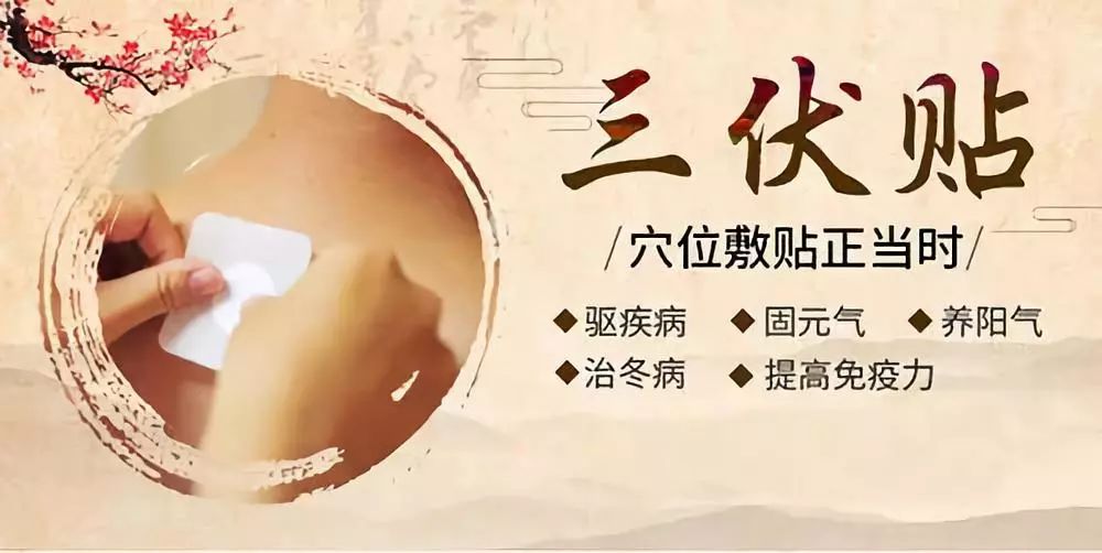 關于三伏貼，你了解多少呢？