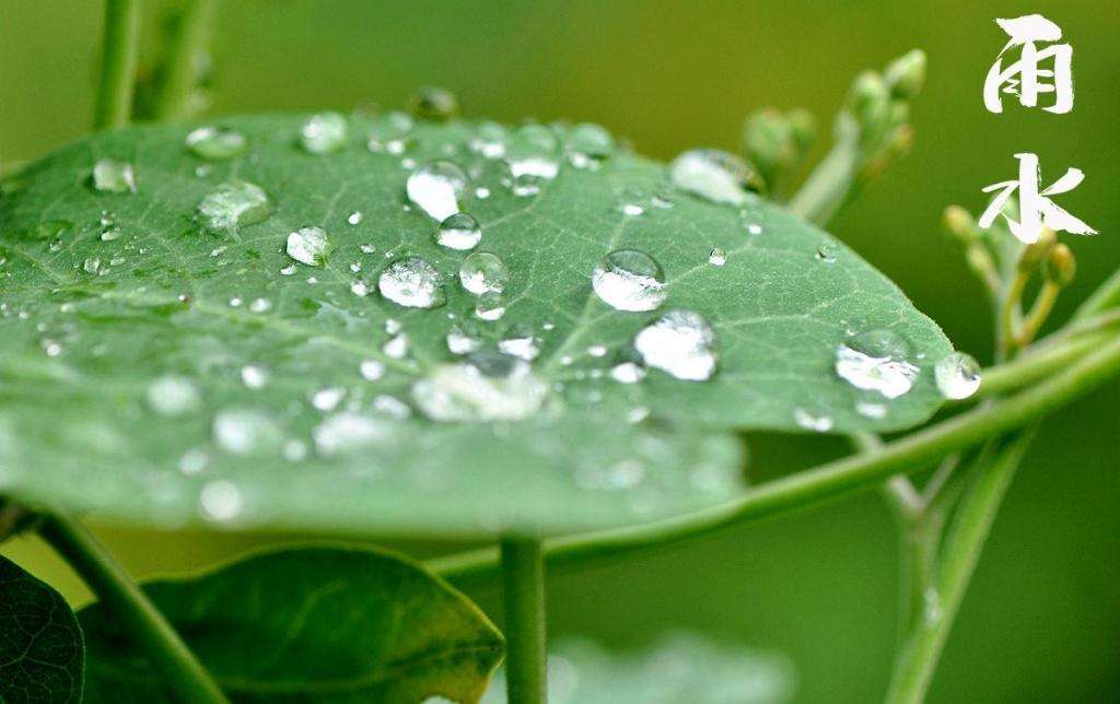 雨水！